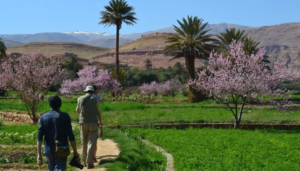 excursion au départ de Fes à Marrakech via le désert de merzouga