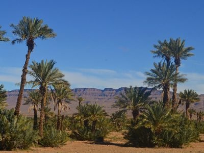 excursion-vallee-du-draa-et-zagora