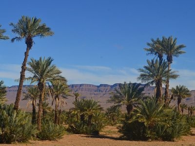 Excursion Zagora au départ Ouarzazate