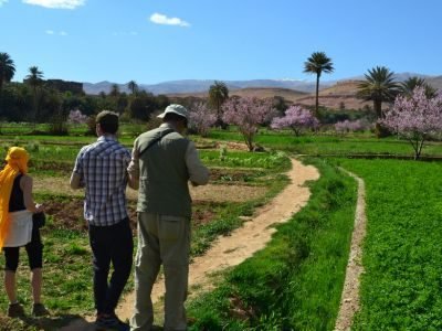 tour-excursion-merzouga