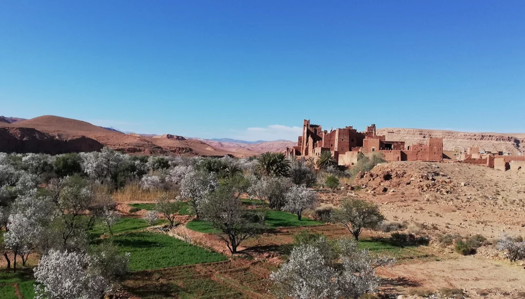 excursion à la vallée ounila ouarzazate