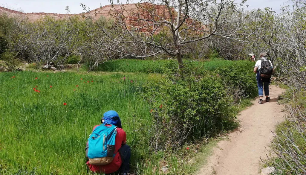 excursion et rando vallée des roses Maroc