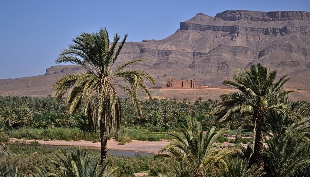 Excursions vallée du Draa et Zagora