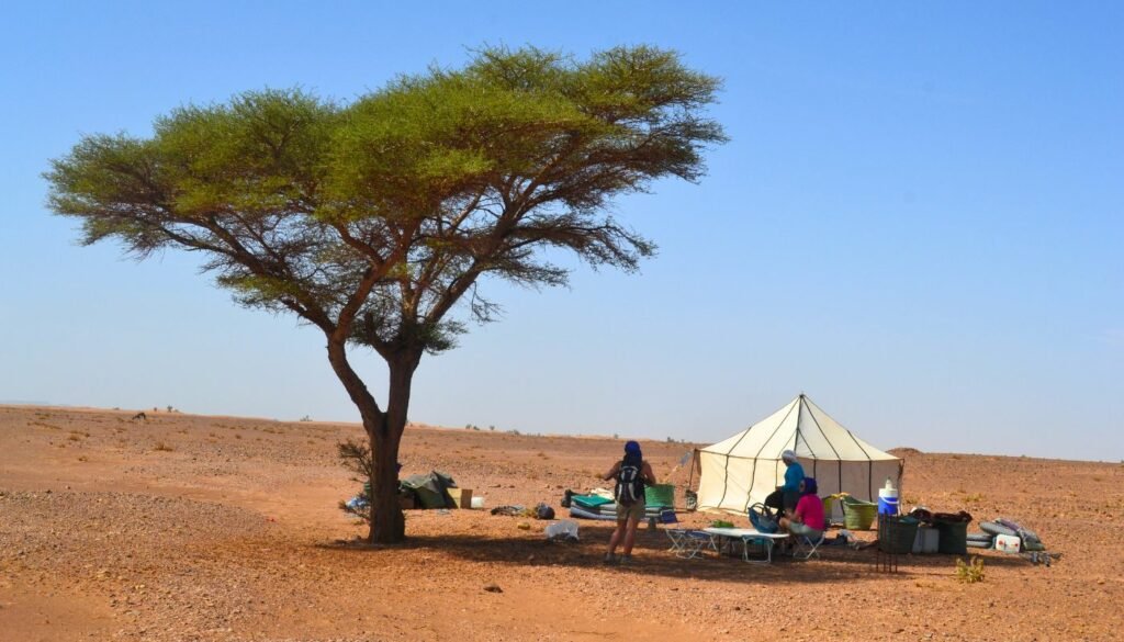 Explore désert de Zagora