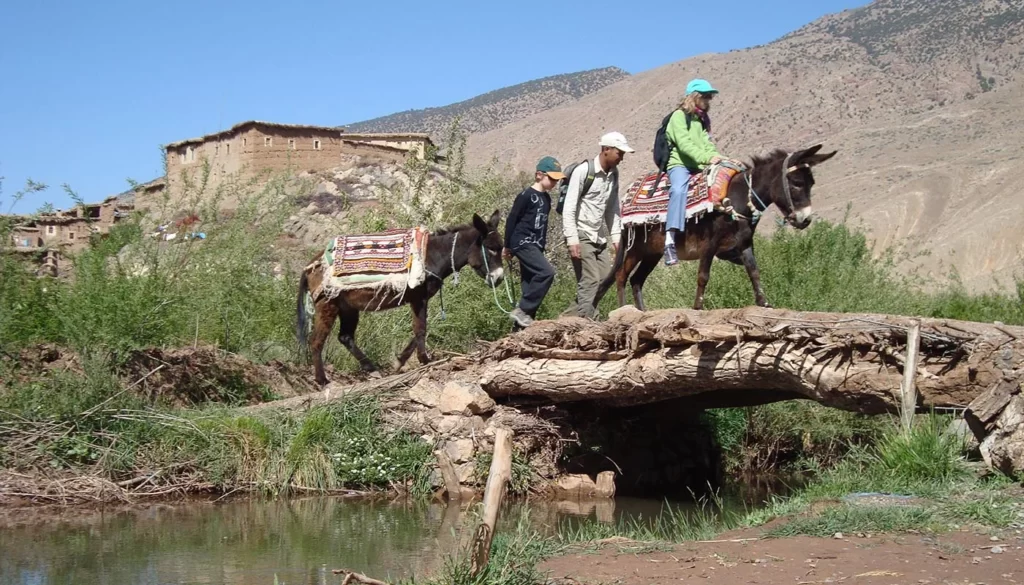 Trek Ait Bouguemez et Essaouira Maroc