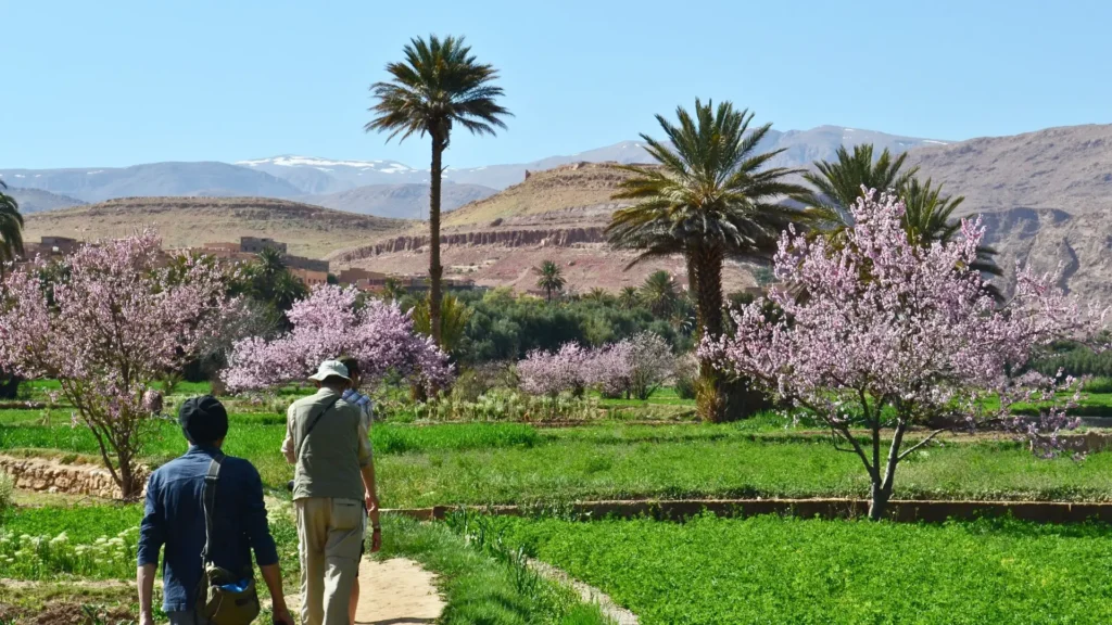 tour culturel au Maroc, les villes impériales et le sud Marocain