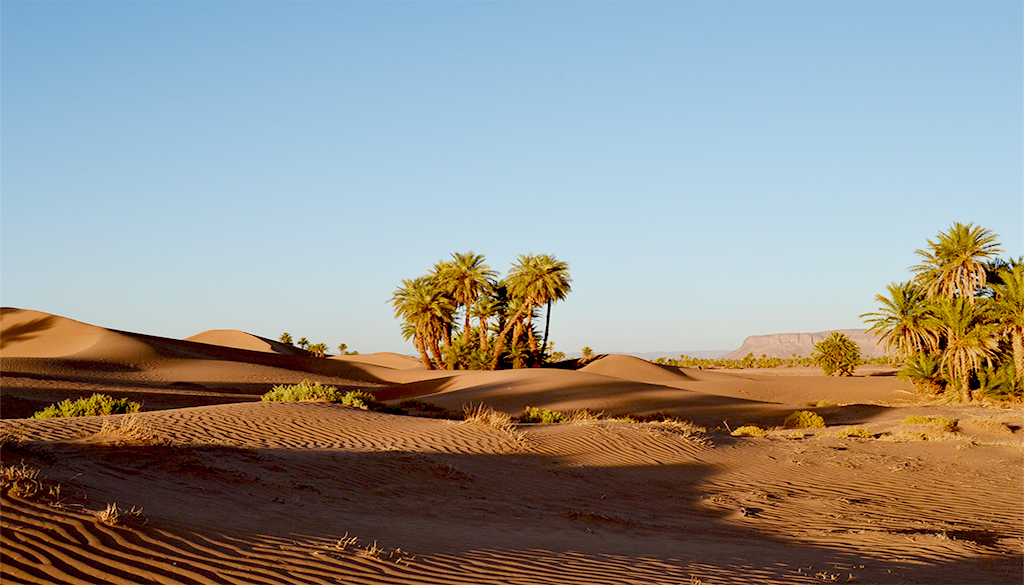 le désert marocain et dunes de nesrate