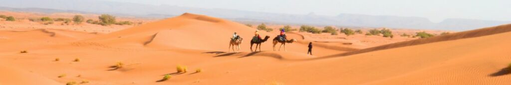 randonnée chamelière au désert marocain